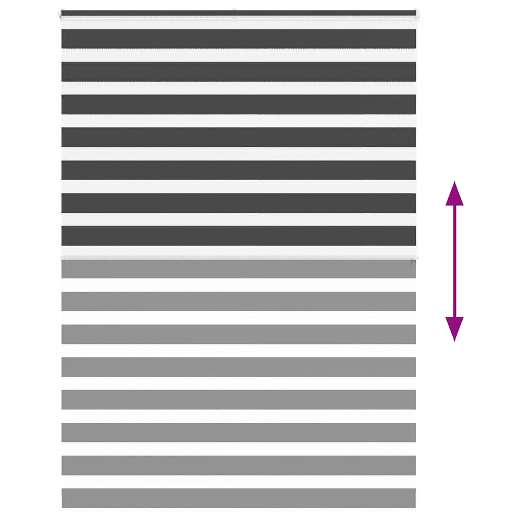 Doppelrollo Schwarz 155x200 cm Stoffbreite 150,9 cm Polyester