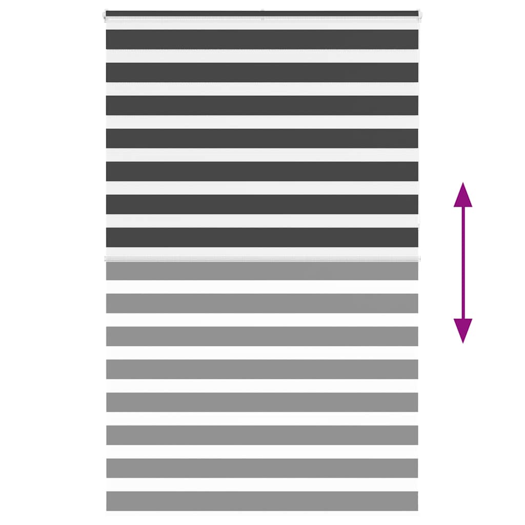 Doppelrollo Schwarz 150x230 cm Stoffbreite 145,9 cm Polyester