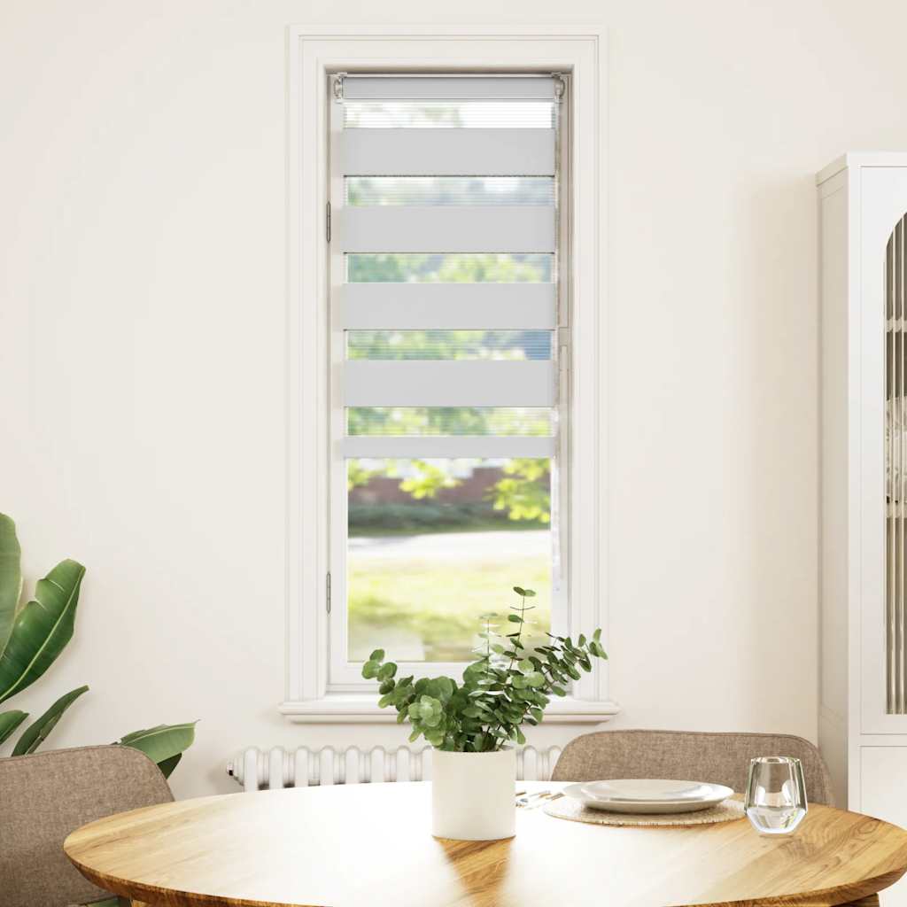 Dual Roller Blind White 50x100 cm Fabric Width 45.9 cm Polyester