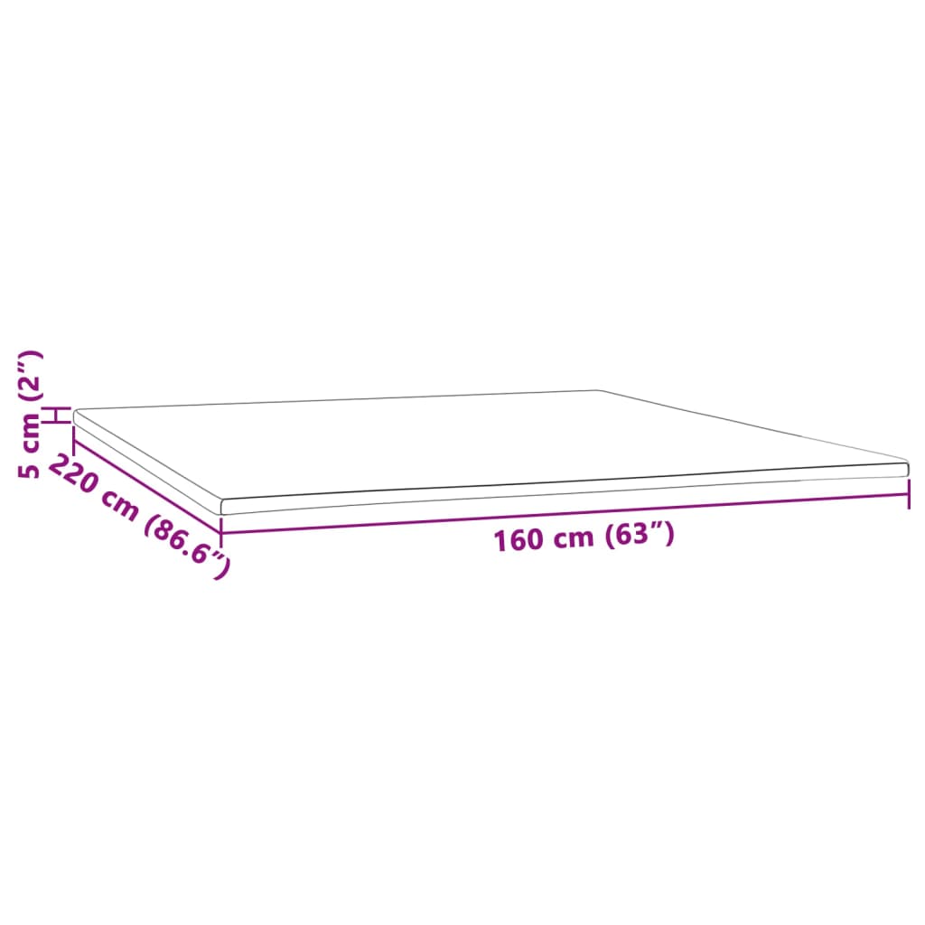 Surmatelas 160x220x5 cm