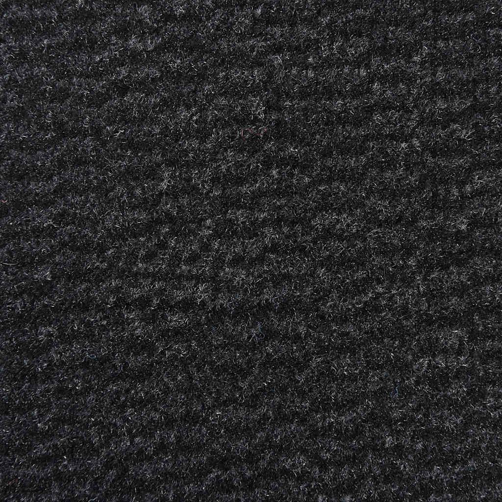 Doormat Black 60x150 cm