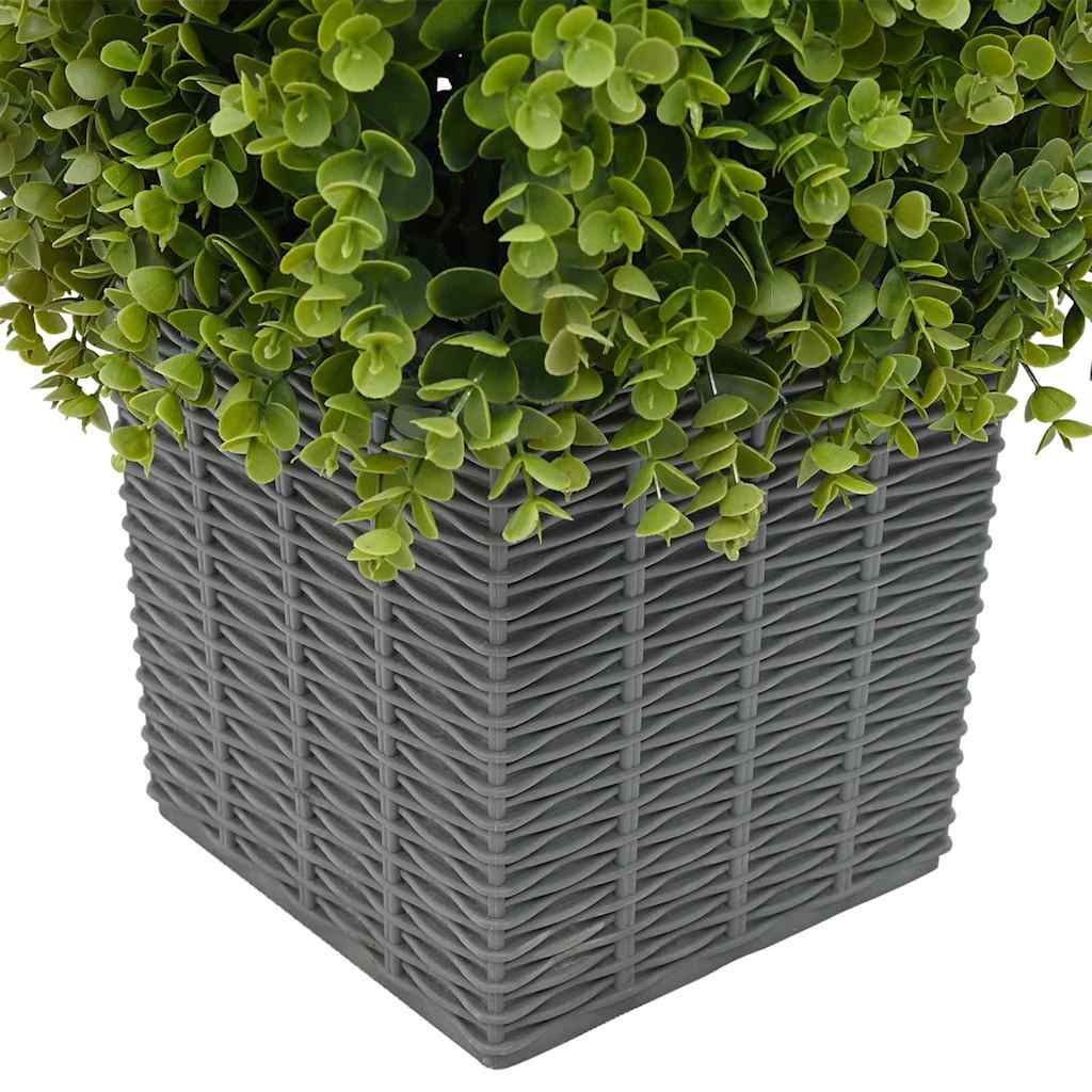 Eucalyptus Herbe Tour Verte 27 x 27 x 90 cm Plastique