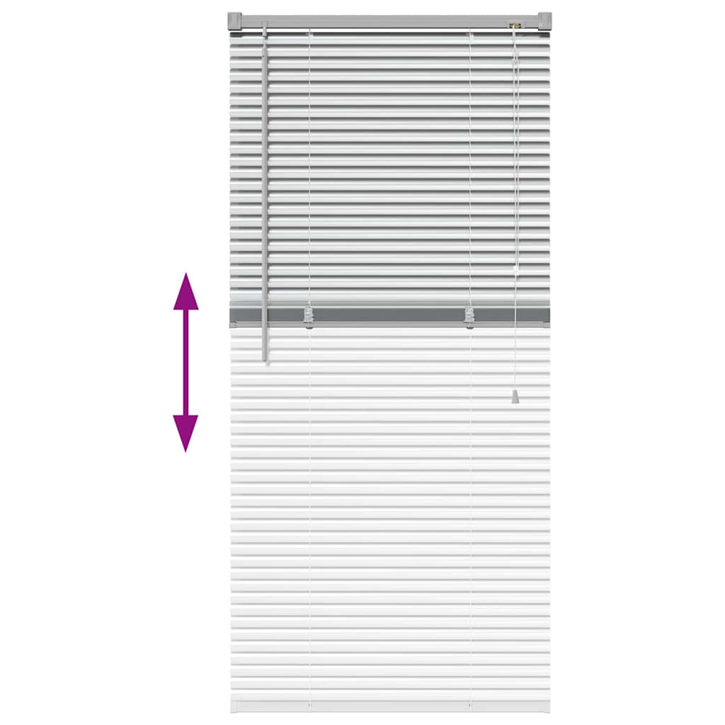 Venetian Blinds Silver 130 x 60 cm Aluminum