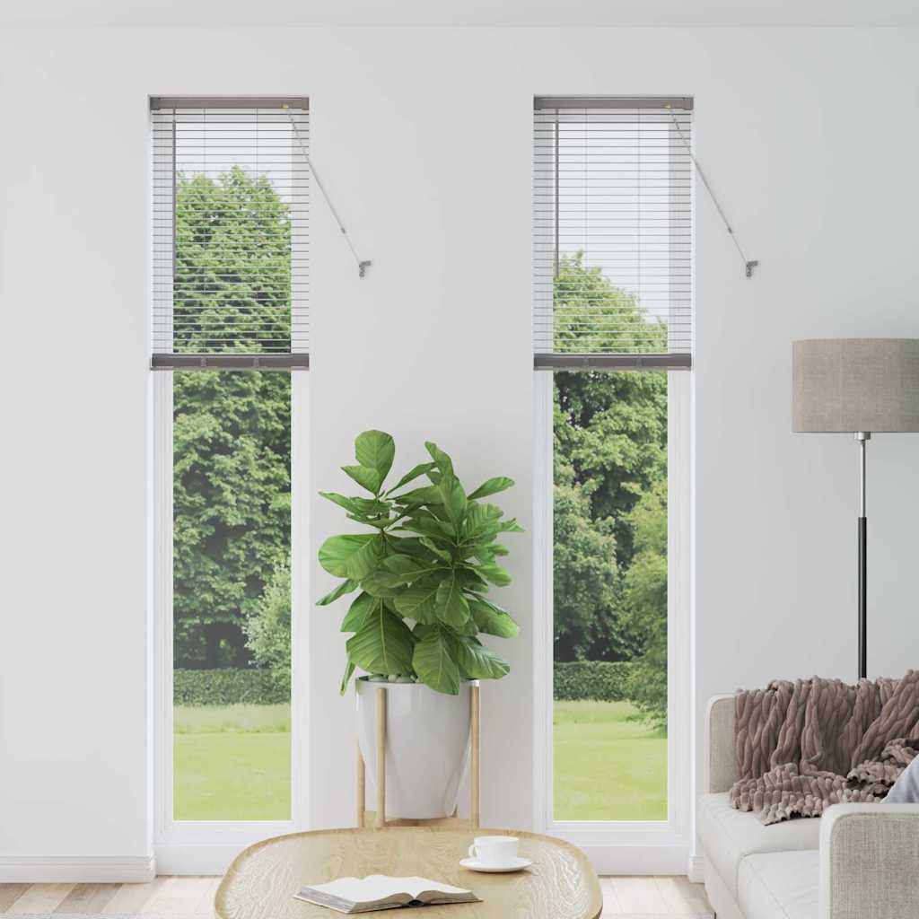 Venetian Blinds Silver 220 x 50 cm Aluminum