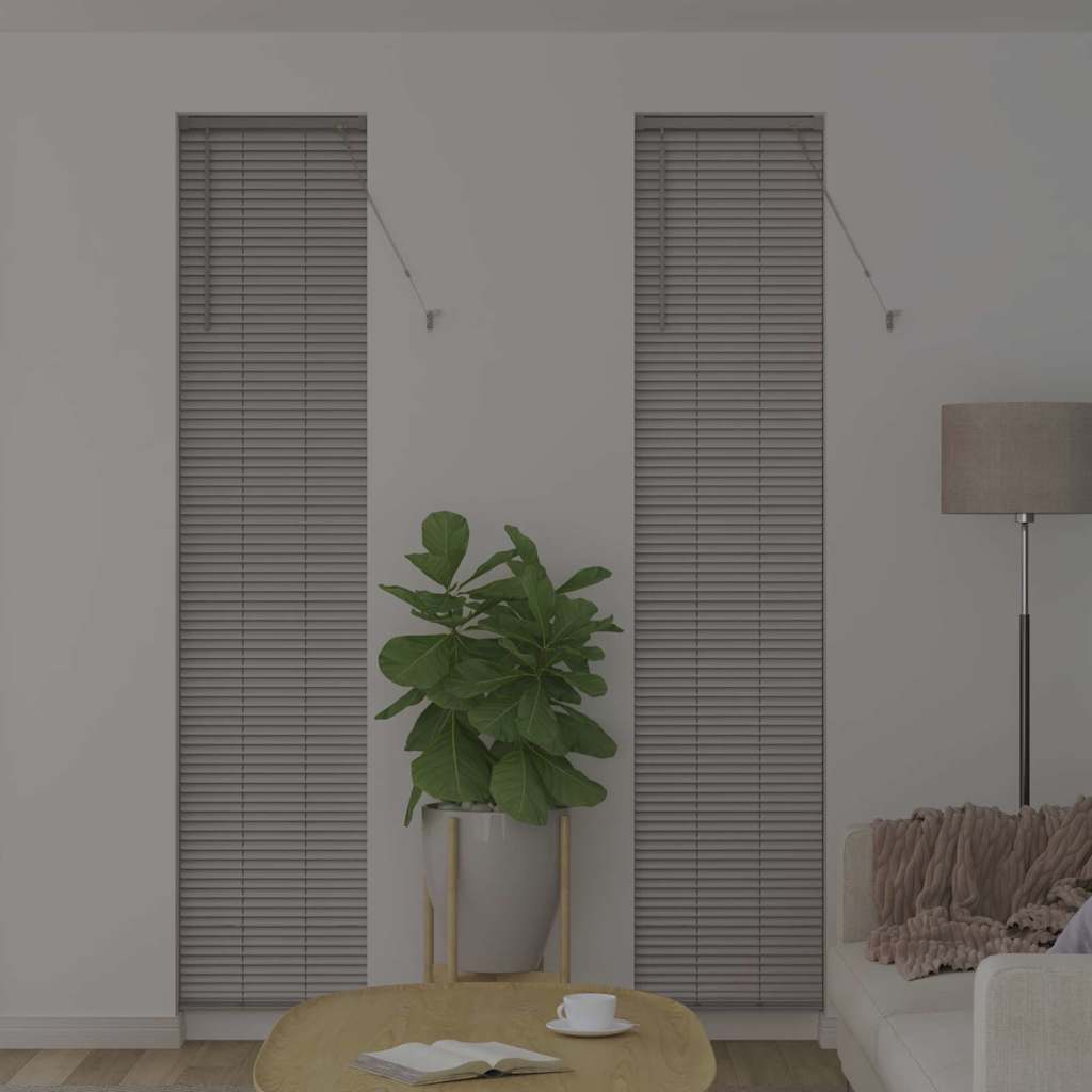 Venetian Blinds Silver 220 x 50 cm Aluminum