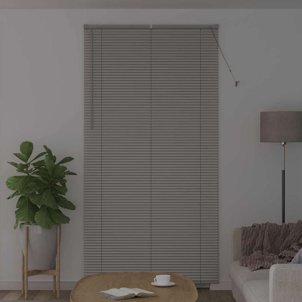 Slat Blinds Silver 220 x 110 cm Aluminum