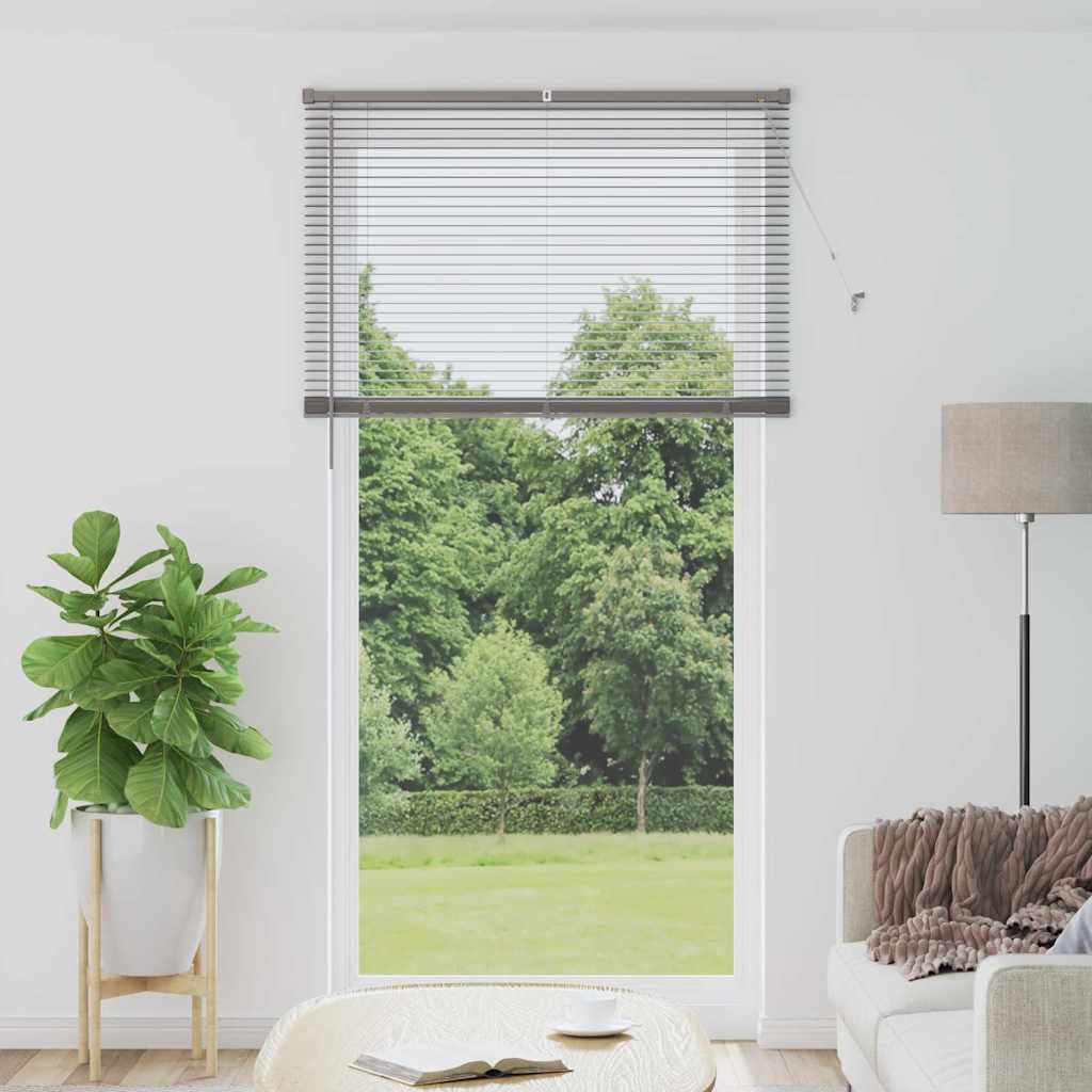 Silver Venetian Blinds 220 x 120 cm Aluminum