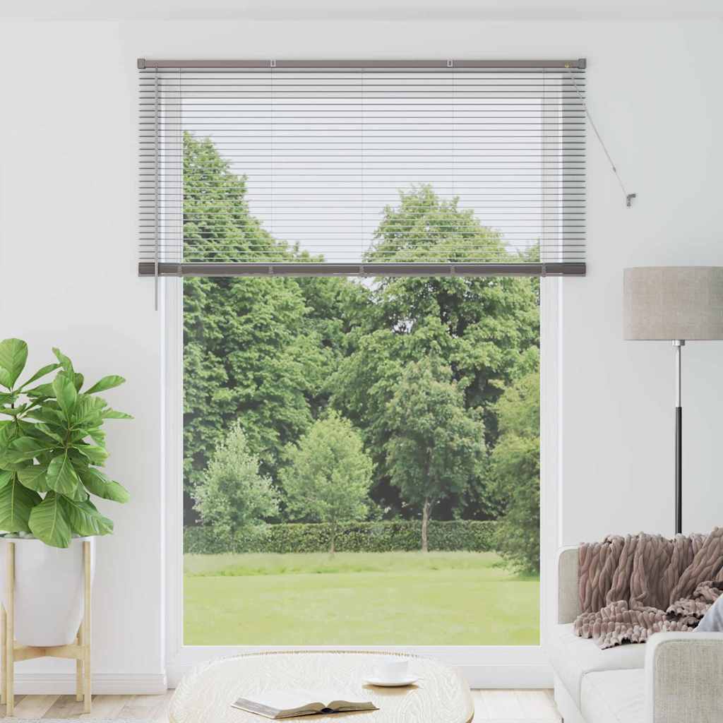 Venetian Blinds Silver 220 x 160 cm Aluminum