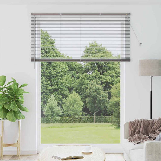 Venetian Blinds Silver 220 x 160 cm Aluminum