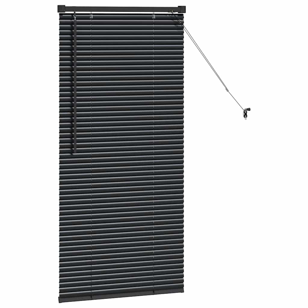 Venetian Blinds Black 60 x 2.5 x 130 cm Aluminum