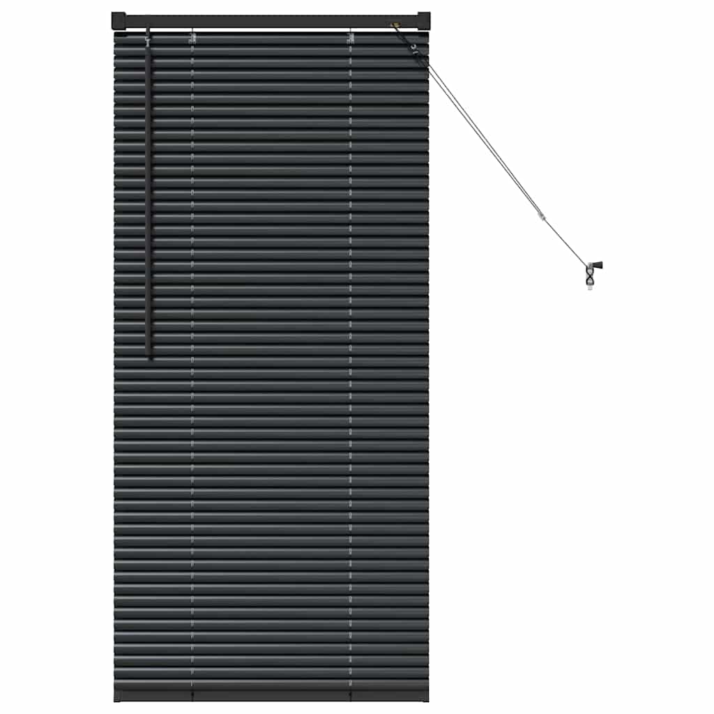 Venetian Blinds Black 60 x 2.5 x 130 cm Aluminum