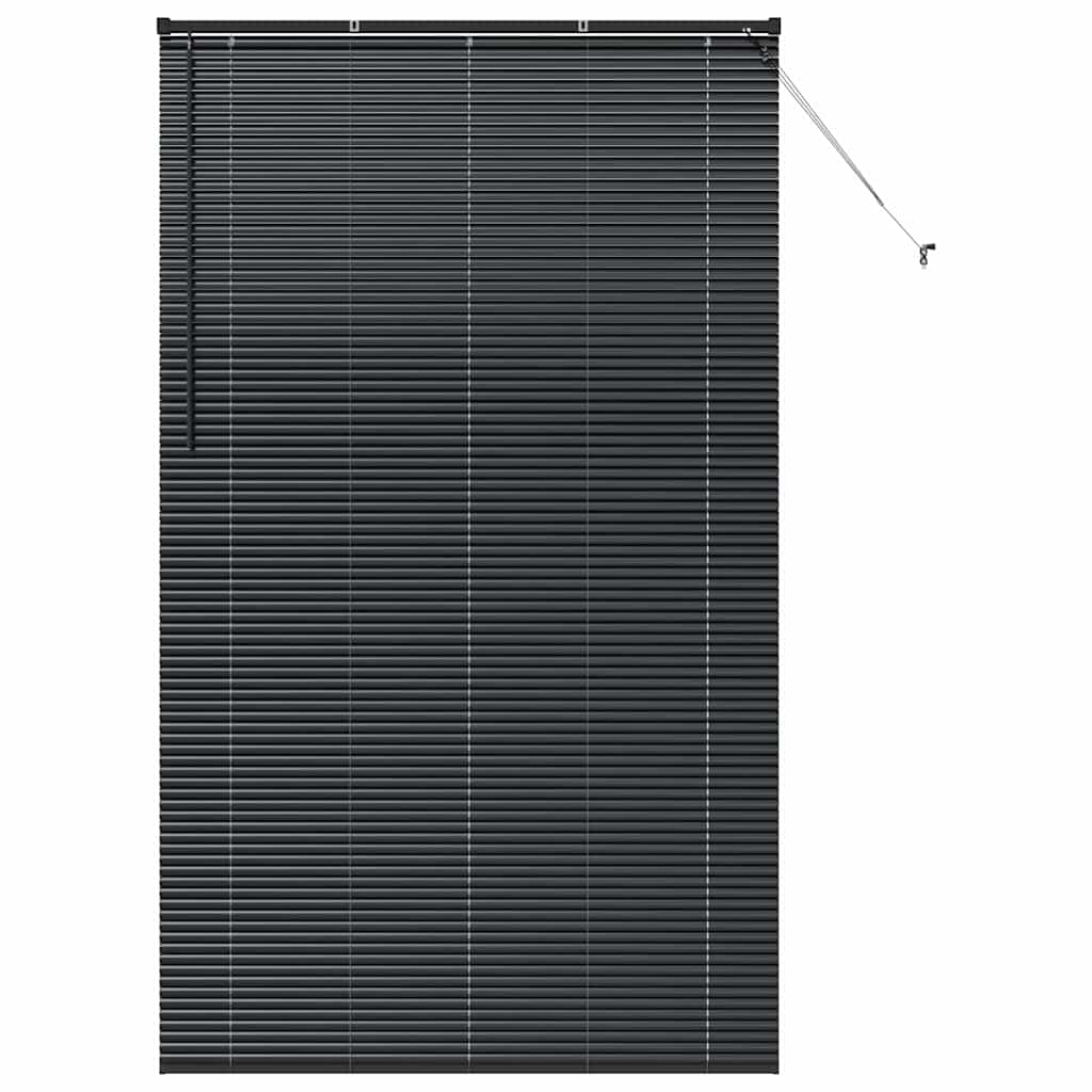 Slat Blinds Black 220 x 125 cm Aluminum