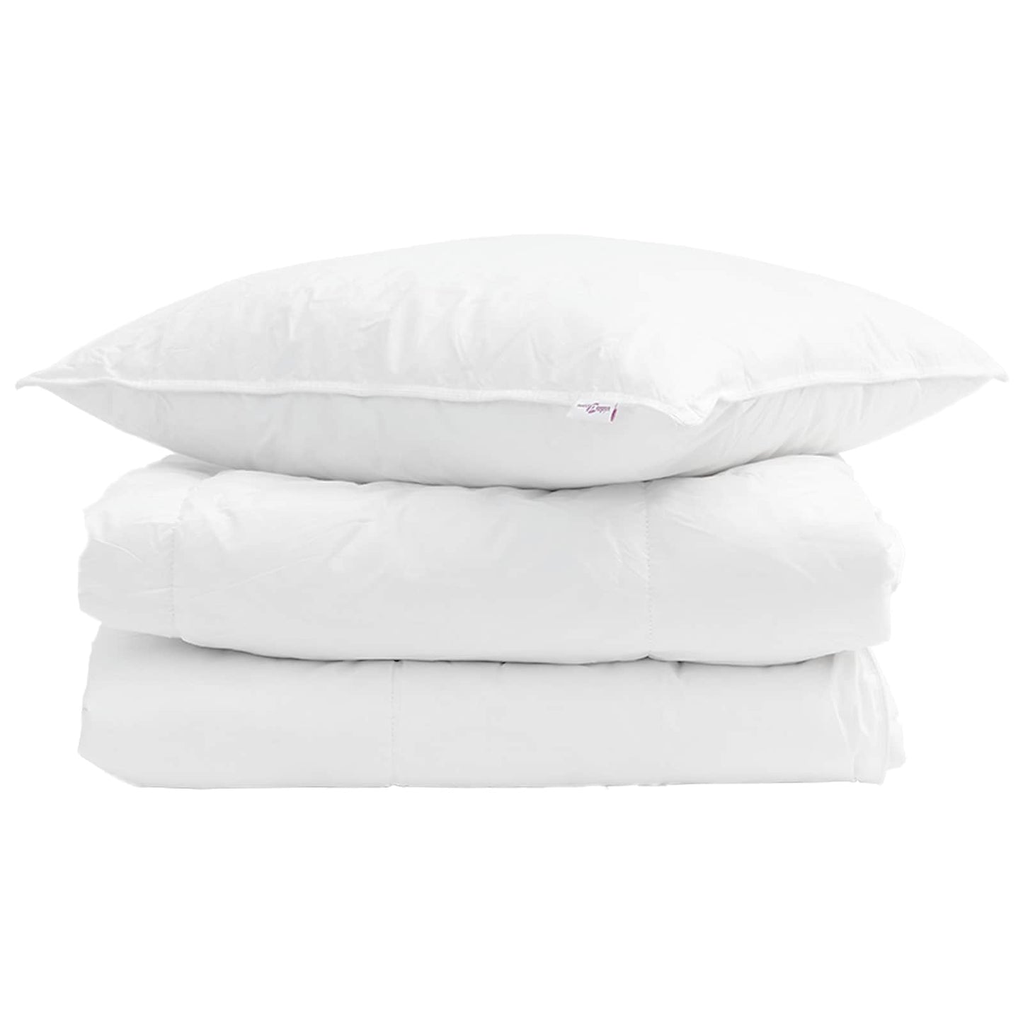 Couette d'été avec oreiller 2 pcs Blanc Plumes