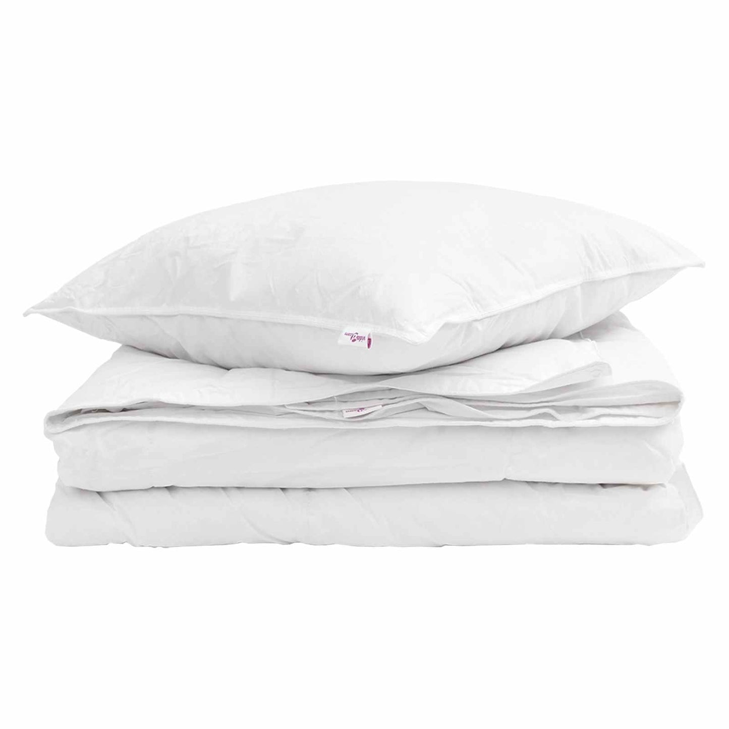 2-in-1 Duvet with Pillow 2 pcs White Down Feather