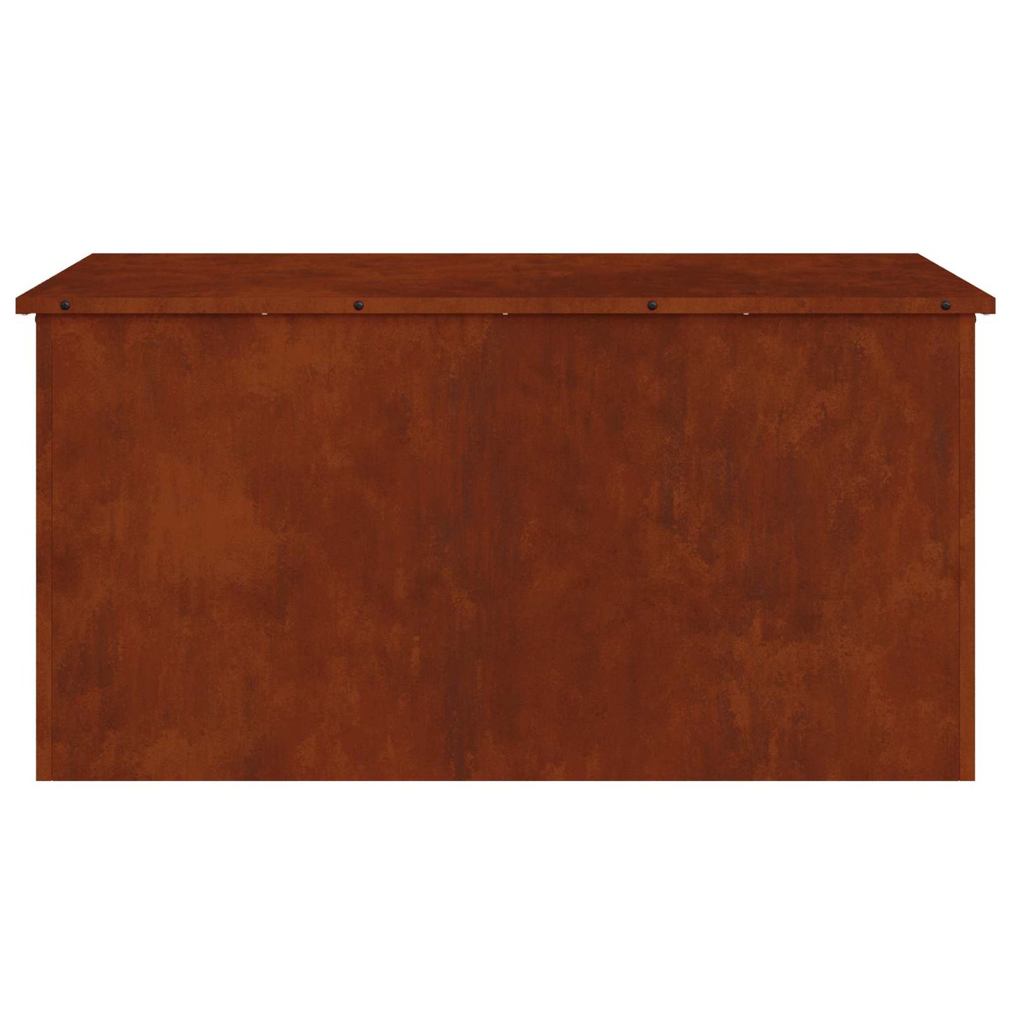 Außenlagerbox Rostig 100 x 50,5 x 50 cm Stahl