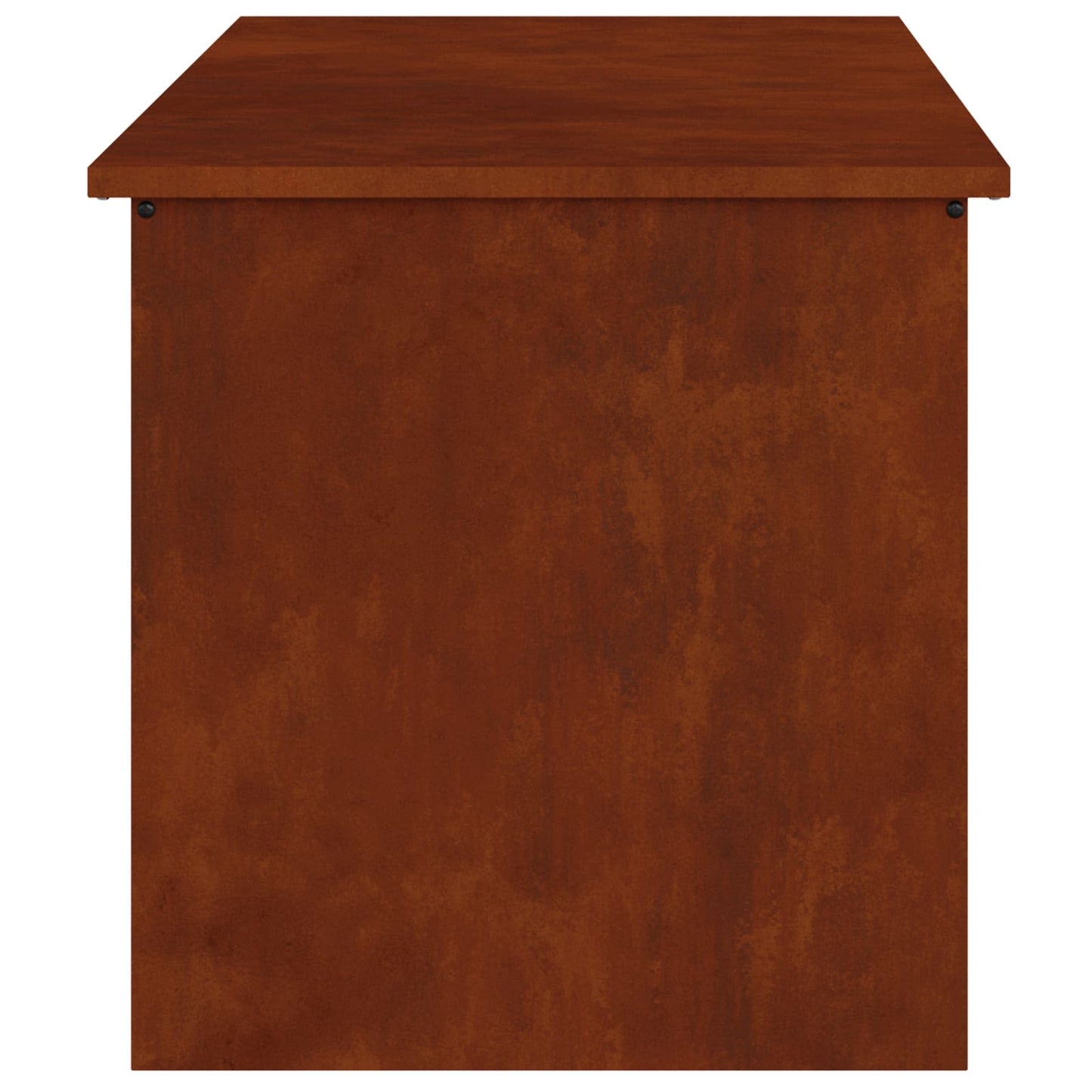 Außenlagerbox Rostig 100 x 50,5 x 50 cm Stahl