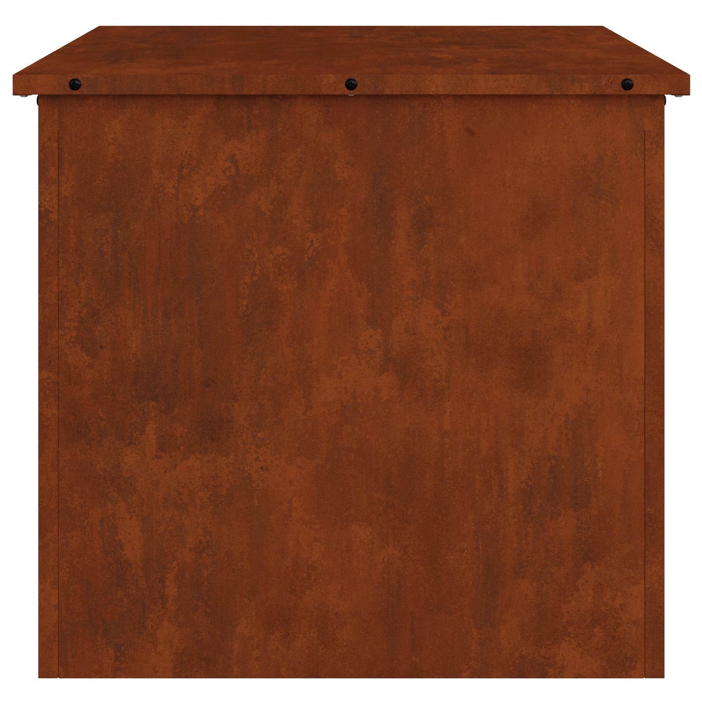 Außenlagerbox Rostig 55 x 50,5 x 50 cm Stahl