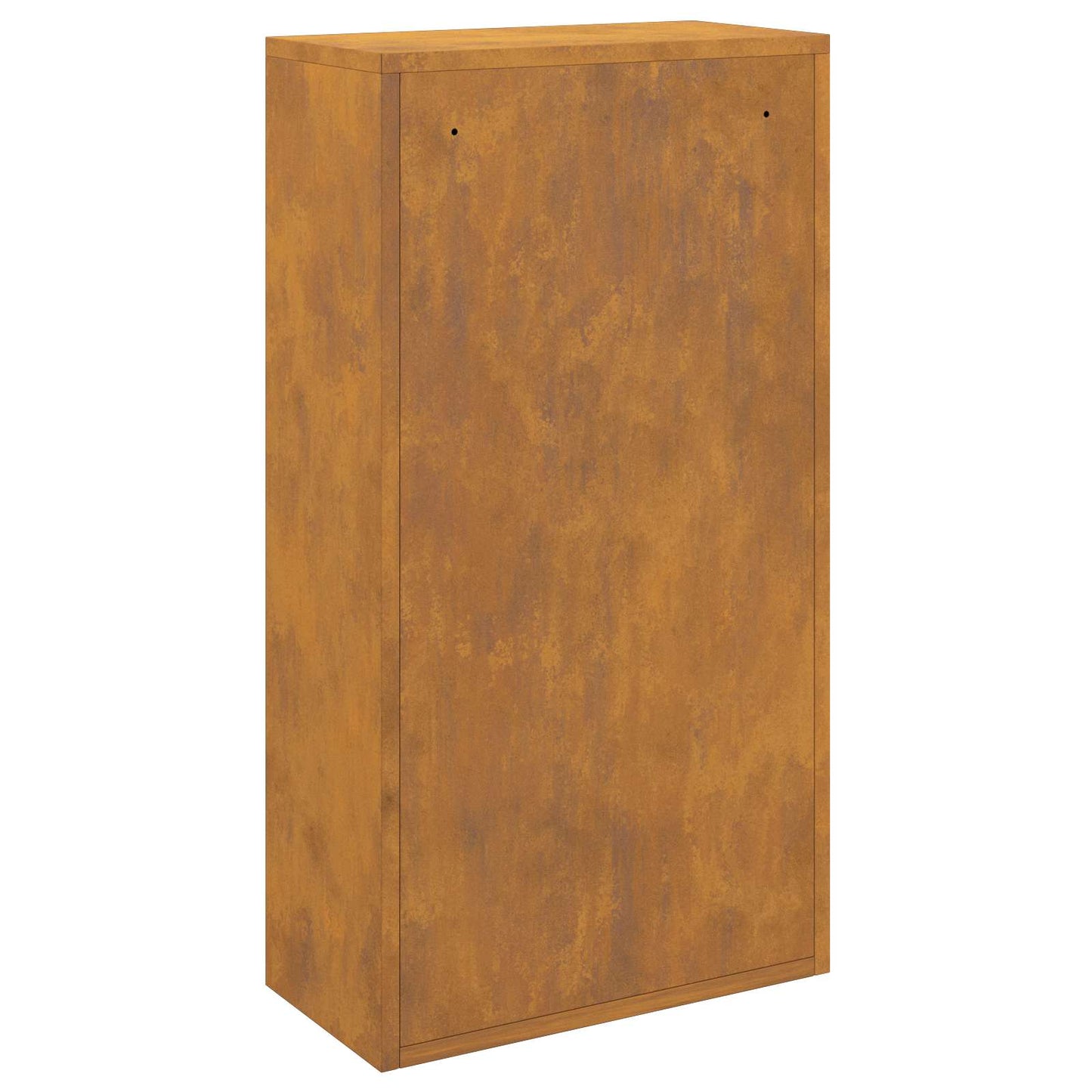 Boîte de dépôt de colis avec porte Rouille 44 x 22 x 82 cm Acier résistant aux intempéries