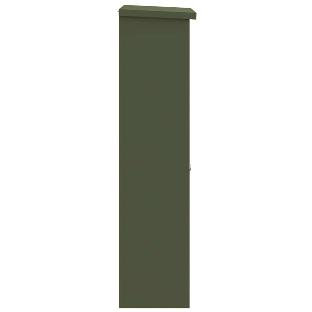 Parcel Drop Box with Storage Olive Green 44.5 x 29 x 110.5 cm Steel