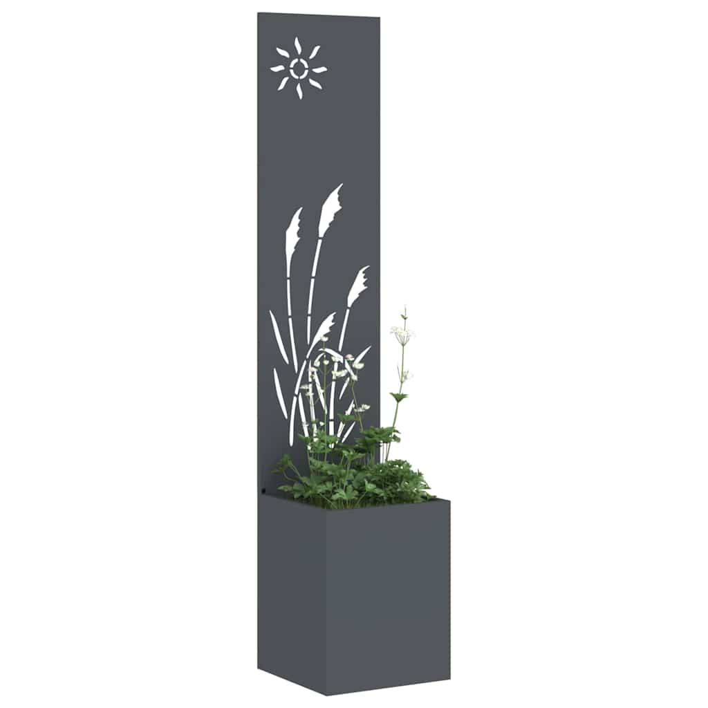 Garten Sichtschutz-Leinwand Anthrazit 50 x 32 x 150 cm