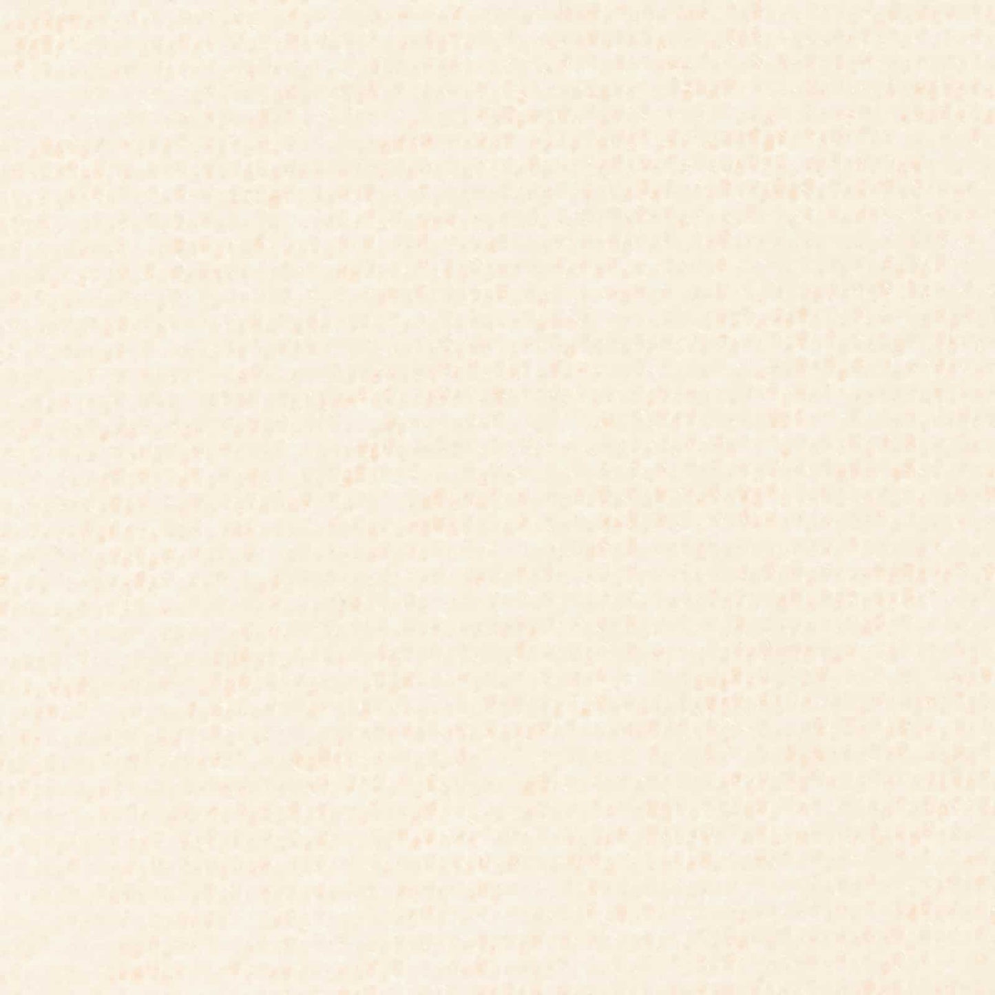 Wohndecken 24 pcs Creme 270 x 240 cm Fleece