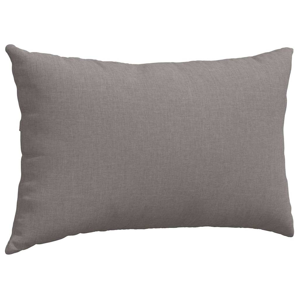 Coussins de canapé 2 pcs Taupe 50 x 30 cm Tissu