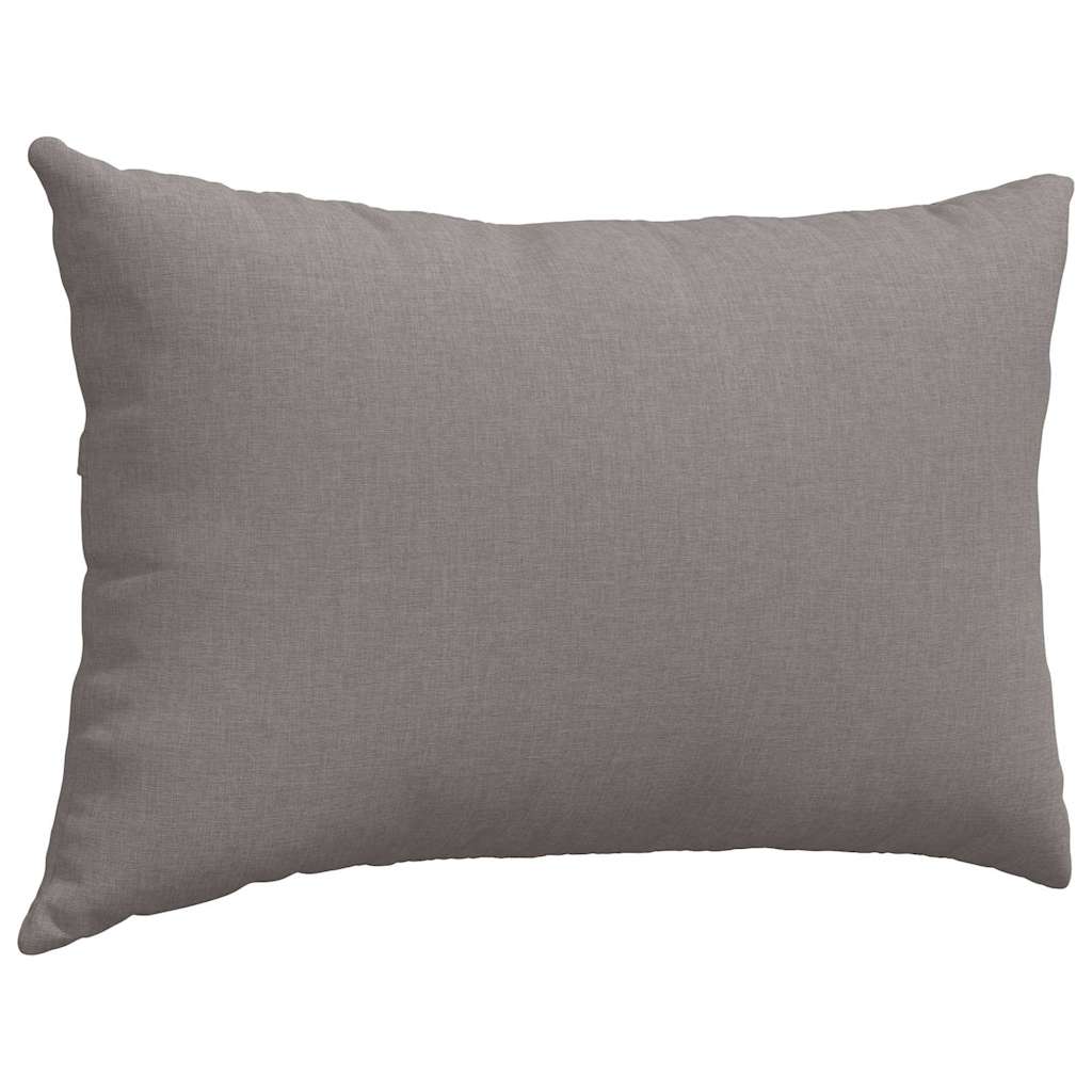 Coussins de canapé 2 pcs Taupe 60 x 40 cm Tissu