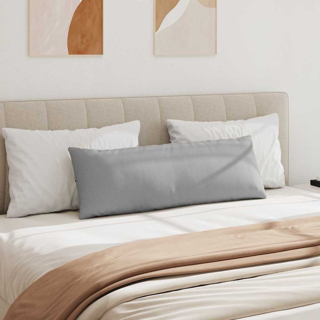 Coussins de canapé 2 pcs Gris nuage 120 x 40 cm Tissu