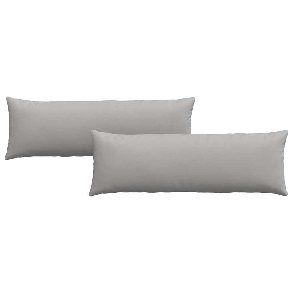 Coussins de canapé 2 pcs Gris nuage 120 x 40 cm Tissu