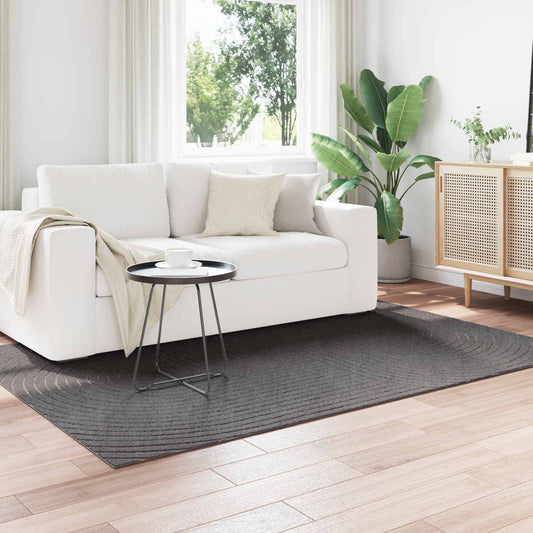 Bereichsteppiche HUARTE Anthrazit 170 x 120 cm Polyester