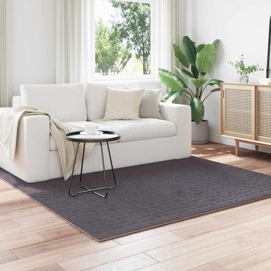 Bereichsteppiche HUARTE Anthrazit 200 x 200 cm Polyester