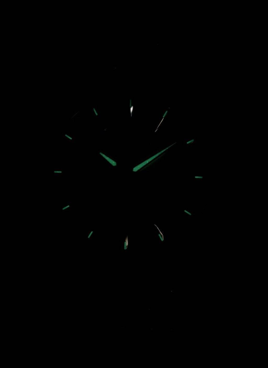 Citizen Quarz BF2013-56P Herrenuhr