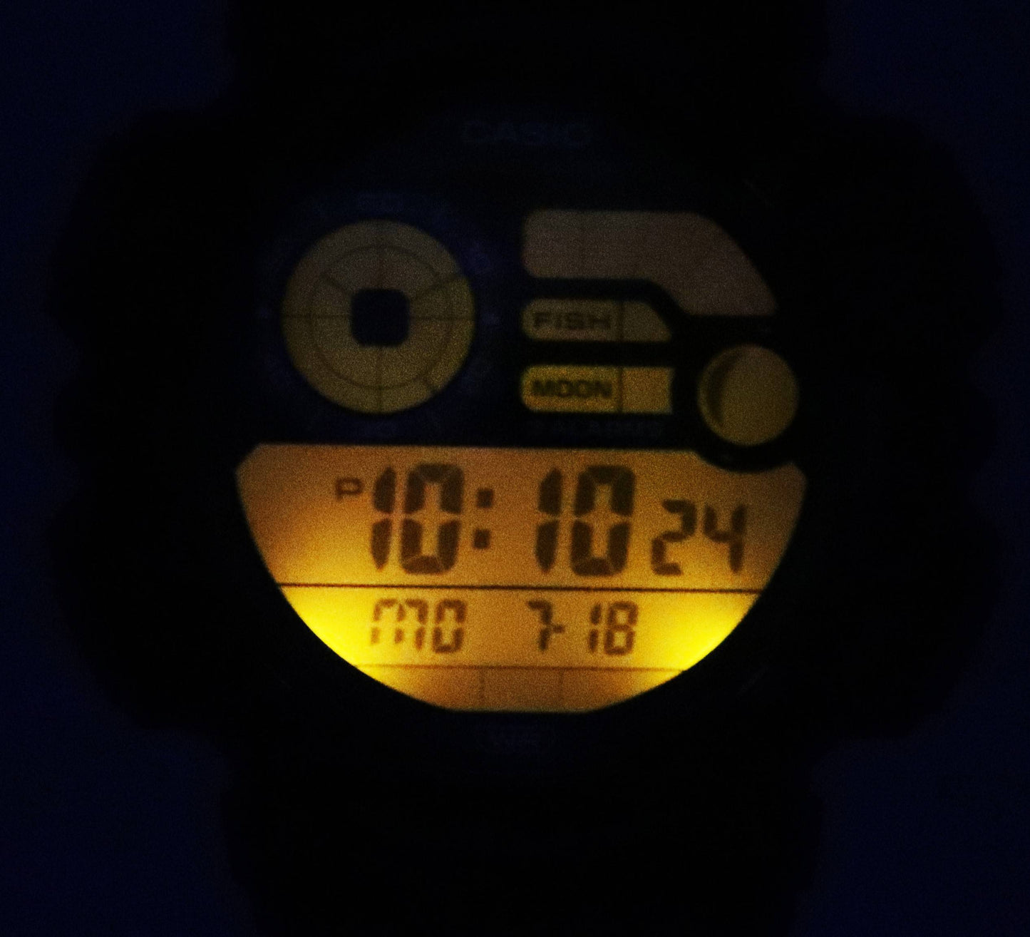 Casio Fishing Gear Line Digital Quarz WS-1500H-1A WS1500H-1 100M Herrenuhr