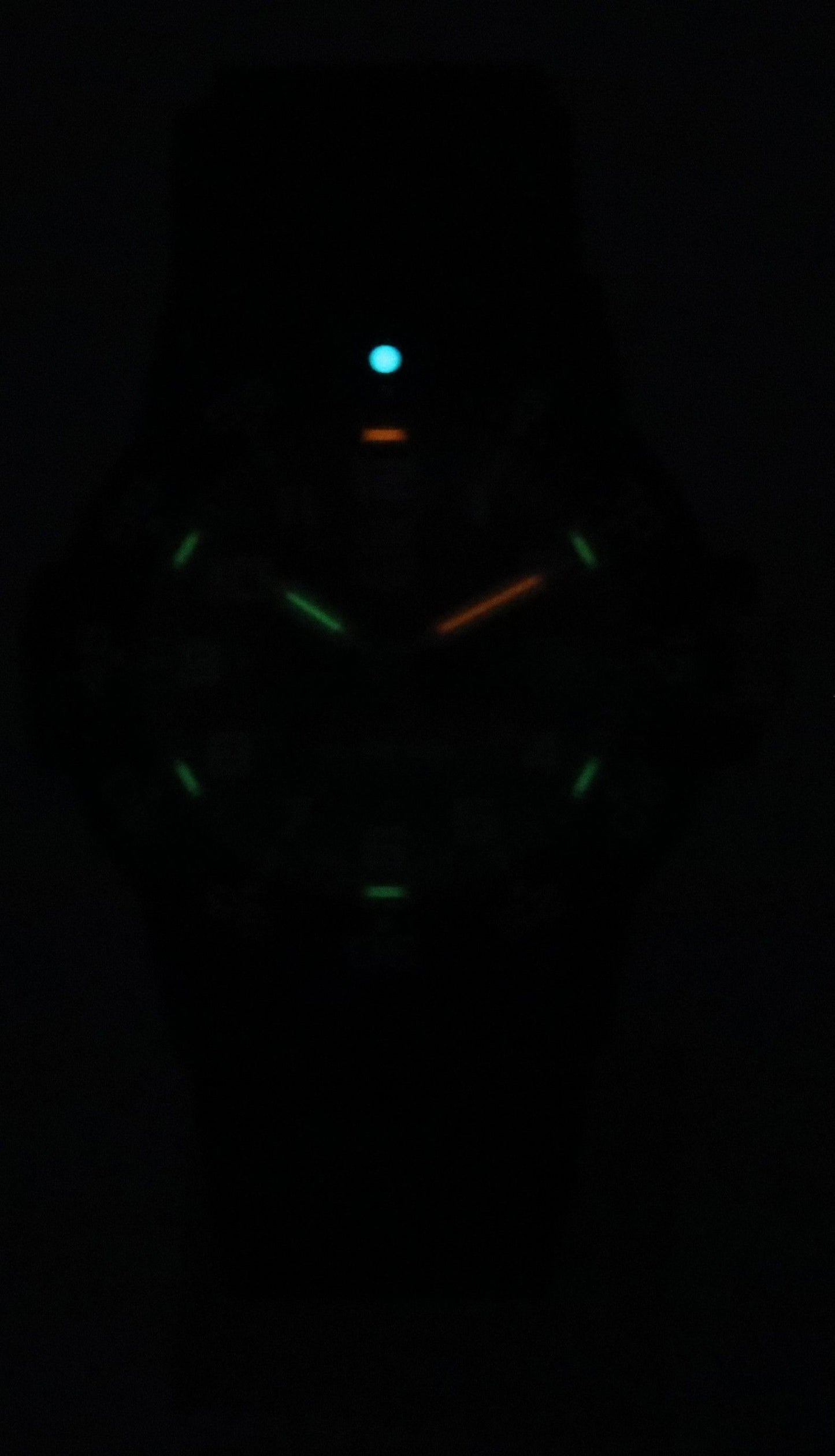 Luminox Leatherback Sea Turtle Silicone Strap Schwarzes Zifferblatt Quarz XS.0301.L 100M Herrenuhr