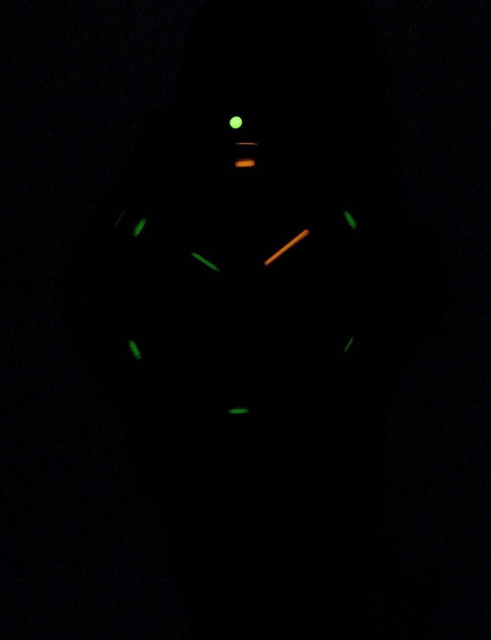 Luminox Leatherback Sea Turtle XS.0333 Quarz Herrenuhr