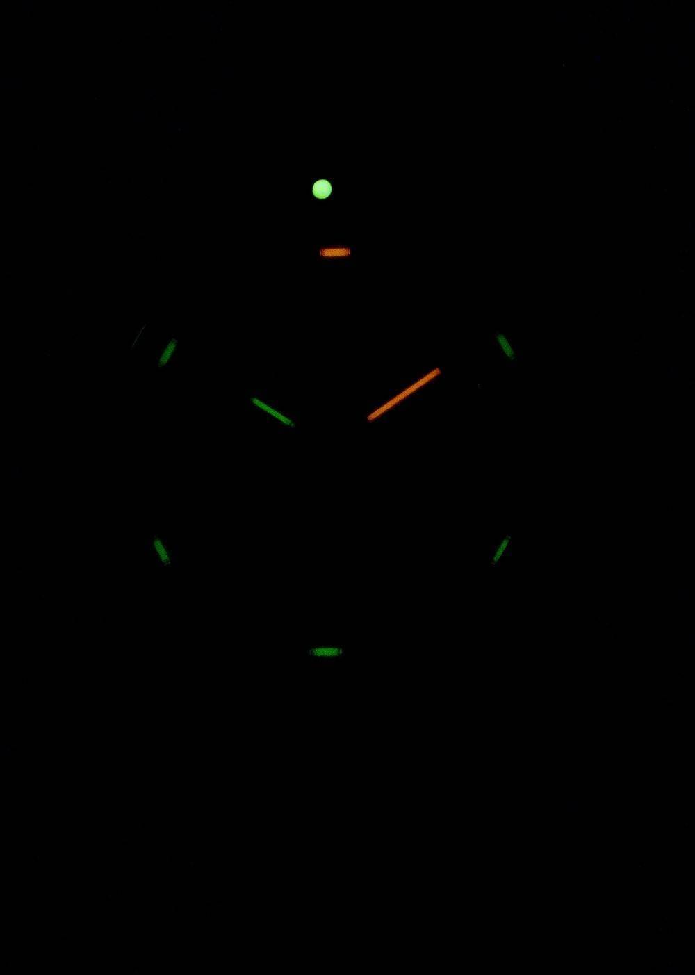 Luminox Leatherback Sea Turtle XS.0337 Quarz Herrenuhr
